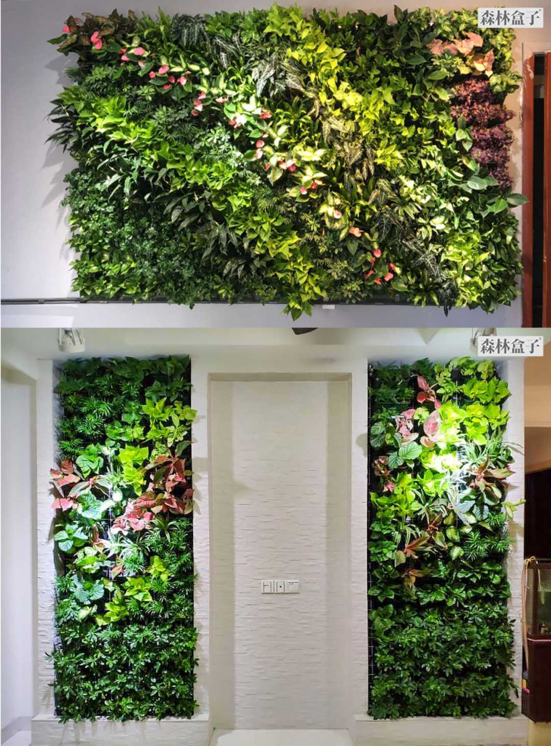 植物墙花盆自动滴灌浇花定时器套装阳台花园智能灌溉浇水系统全套(图18)