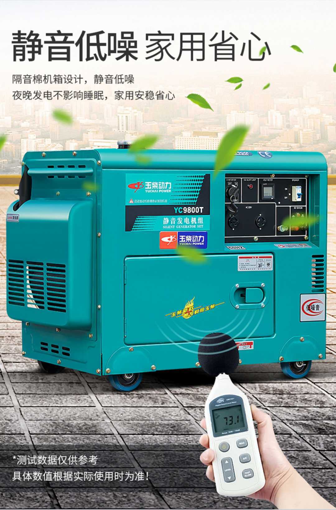 电启动1.0KW开架式单独电机(图9)